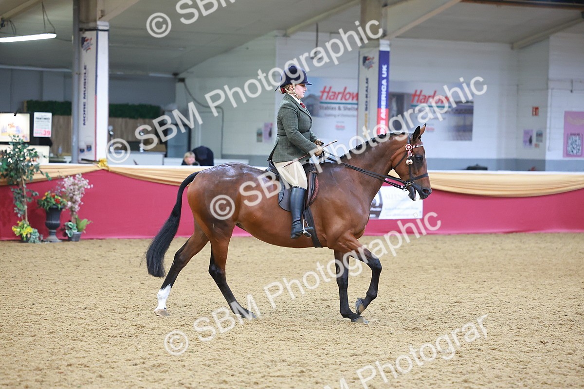 SBM_10645 - Class 103 - HOYS Veteran Qualifier - Ridden Pre Vet