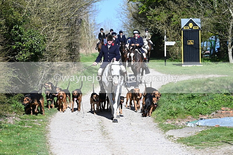 WJ7_9652 - Home for hunt tea !