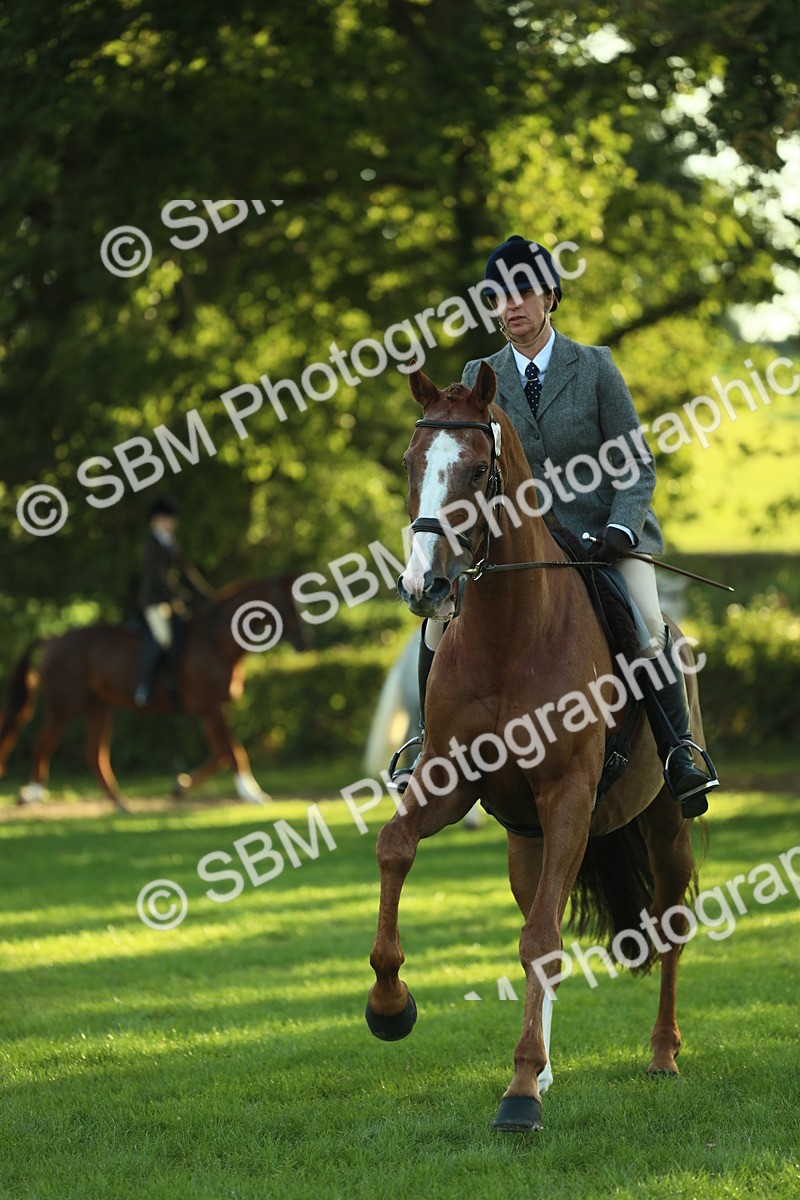 SBM_55531 - S14 - Riding Club Horse