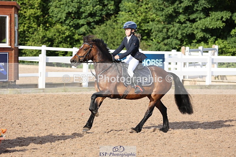 240629A-074321-02203 - Cls 16 British Novice and 80cm Open