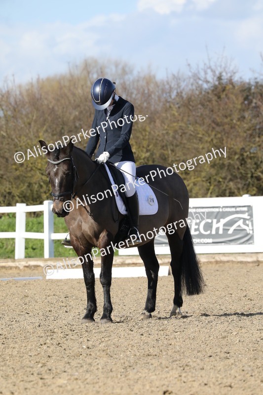 20260314-5134 - CT6 - Elementary 1