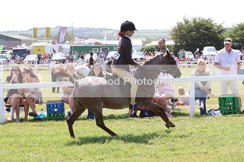 JPP_2792 - Class 21: Working Hunter 60cm
