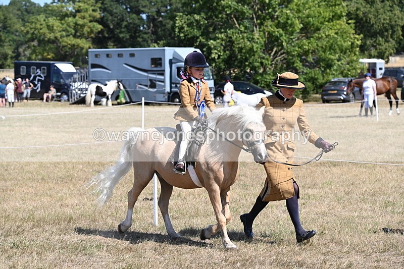 WJ6_9154 - Championship Classes 33-38