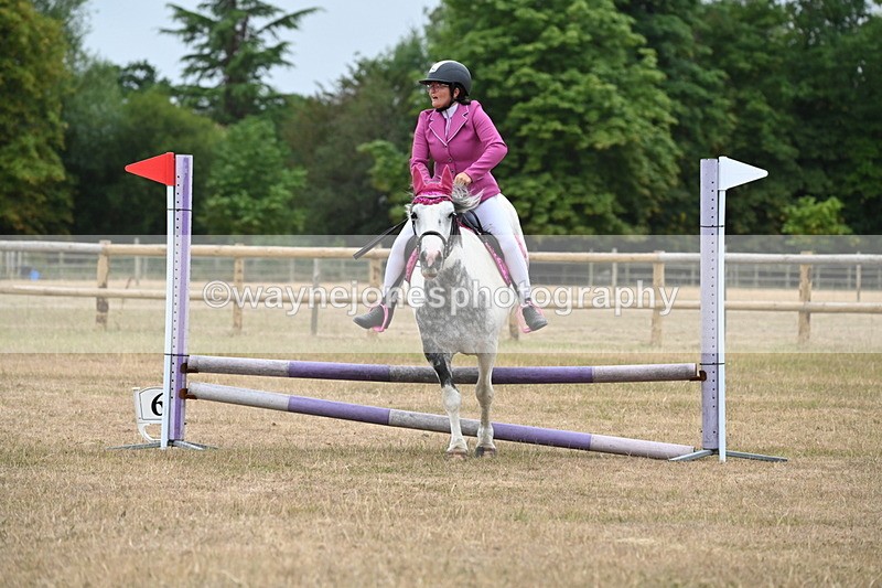 WJ6_0095 - Class 13 Novice Jumping 60cm