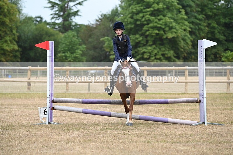 WJ6_0138 - Class 13 Novice Jumping 60cm