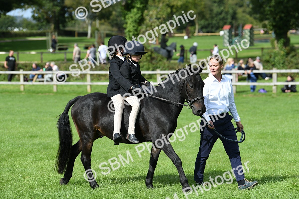 SBM_46974 - S12 - Family Horse & Pony