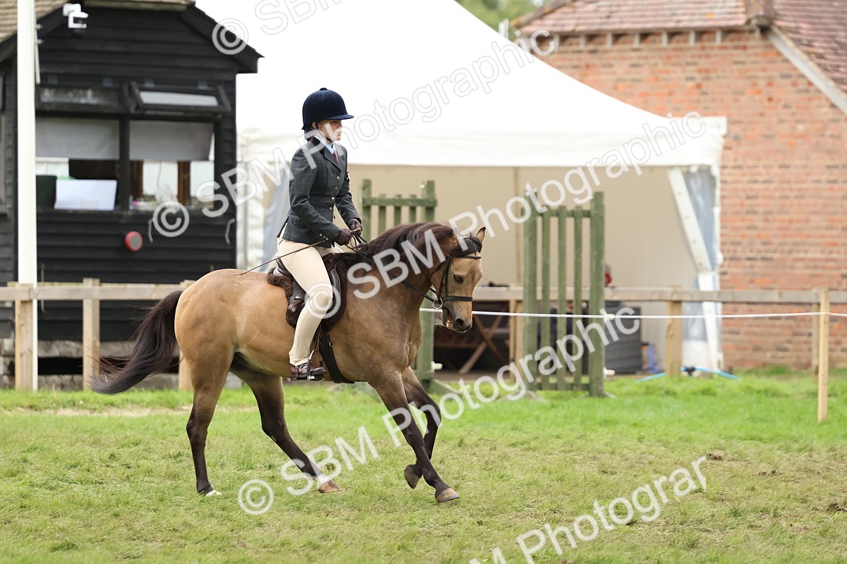 SBM_67462 - S61 - Mountain & Moorland Ridden