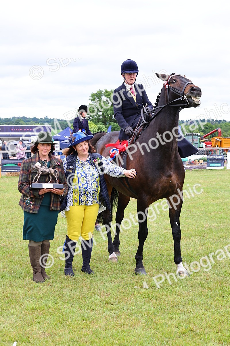 SBM_02887 - Class 9-11 Side Saddle including LIHS Rising Star Ladies Show Horse