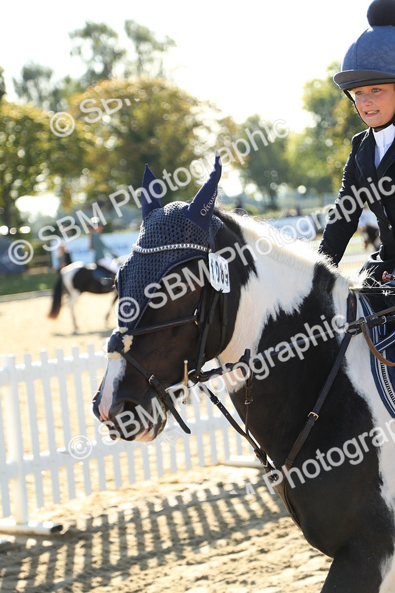 SBM_35891 - J5 - Junior Pony 50cm Championship