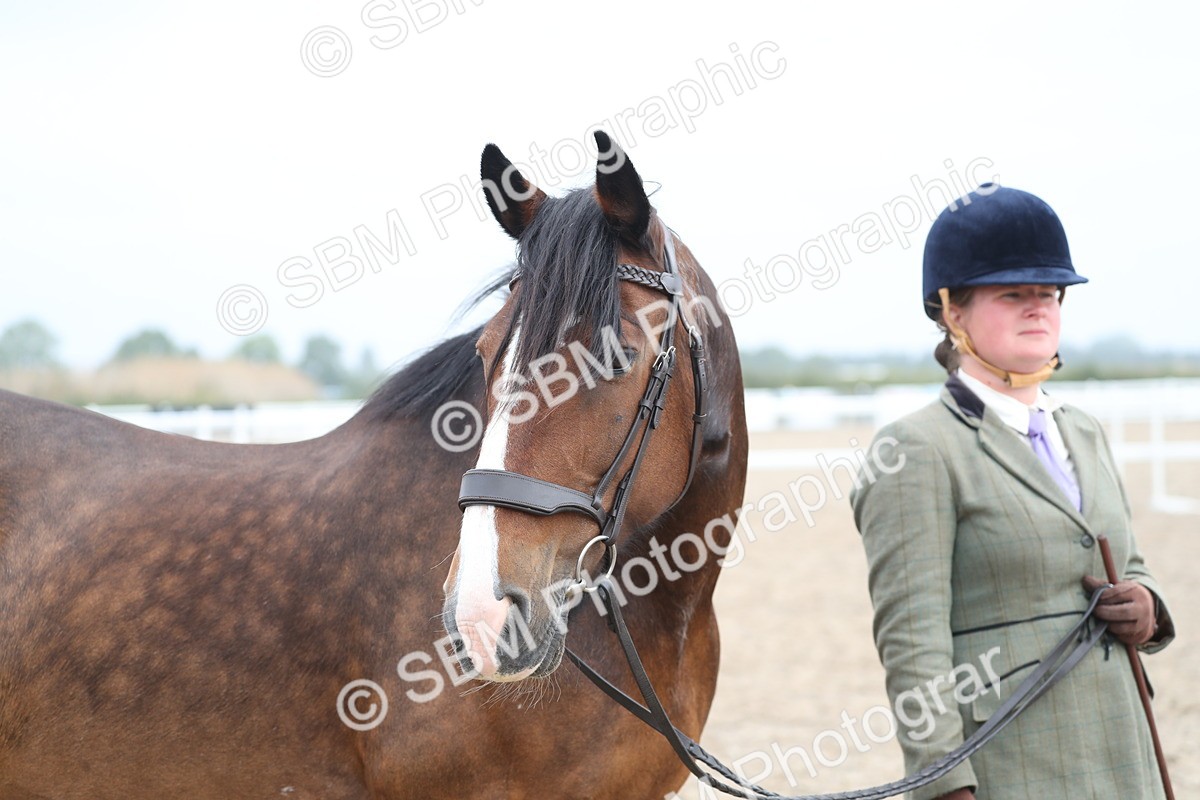 SBM_22541 - Class 604 - 2025 Area - IH Diamond