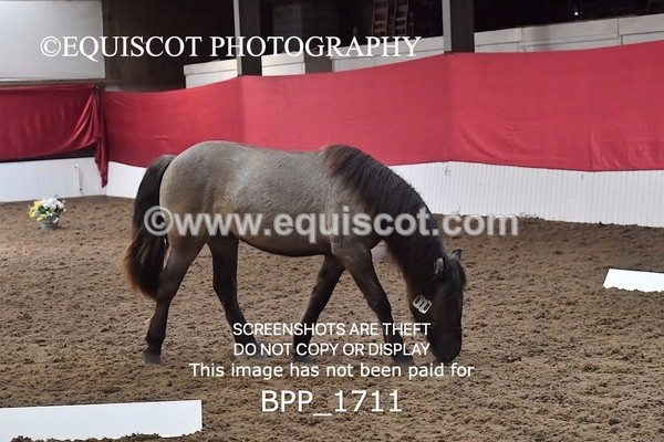 BPP_1711 - MORNING 9AM - 12PM