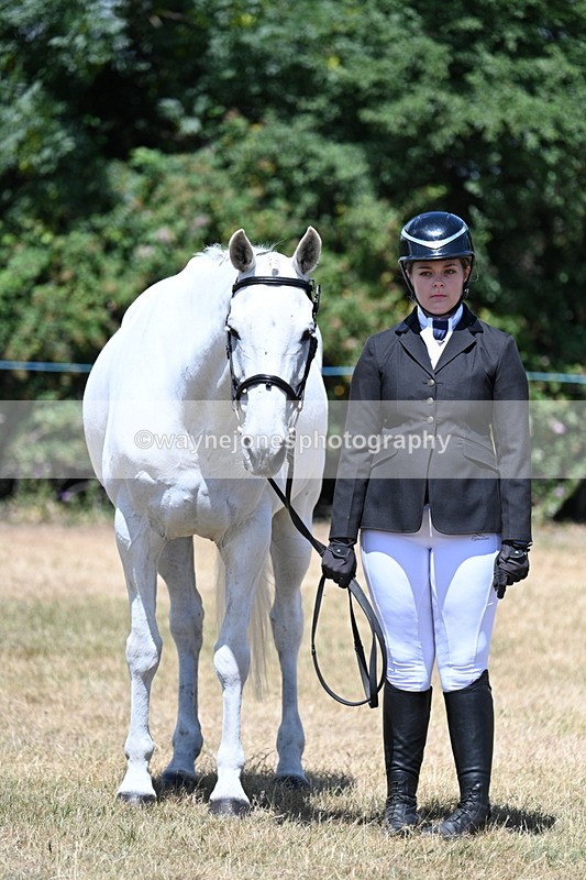 WJ7_2351 - Class 5a Most Handsome Gelding in hand (above 14.2hh)