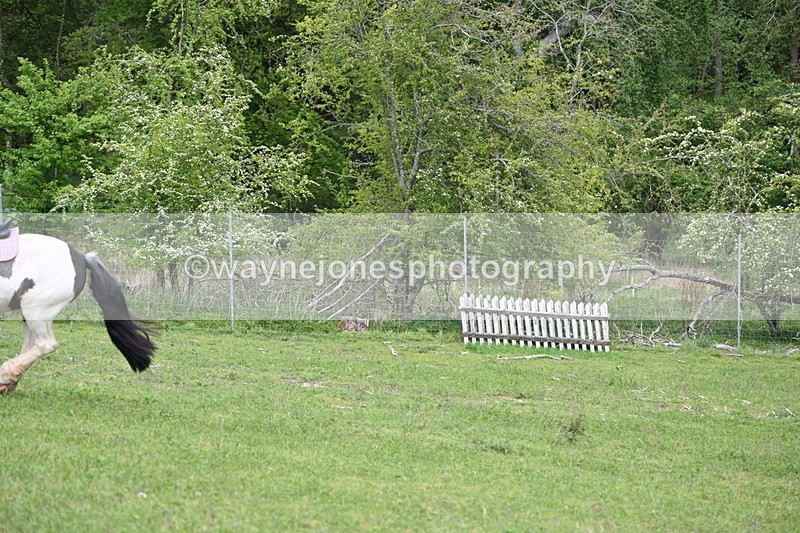 WJ6_3482 - Group 7 A camera ?