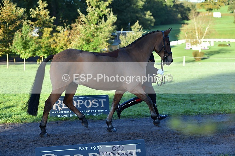 231022-085356-21433 - 614-MICRON.JOY-Ellie.Mitchell-TrotUp+SJ