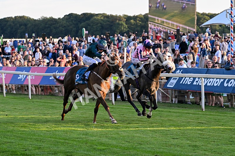 240726-Race 6-Explosive Finnish-5598 - Race 6 20.25pm Sky Bet Go-Racing-In-Yorkshire Summer Festival Handicap