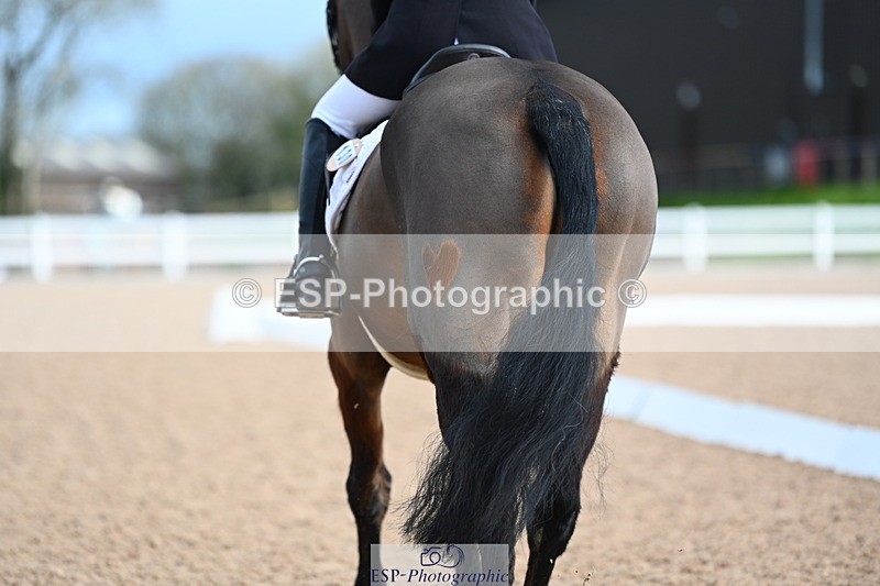 240323A-092741-01201 - DR Intro B