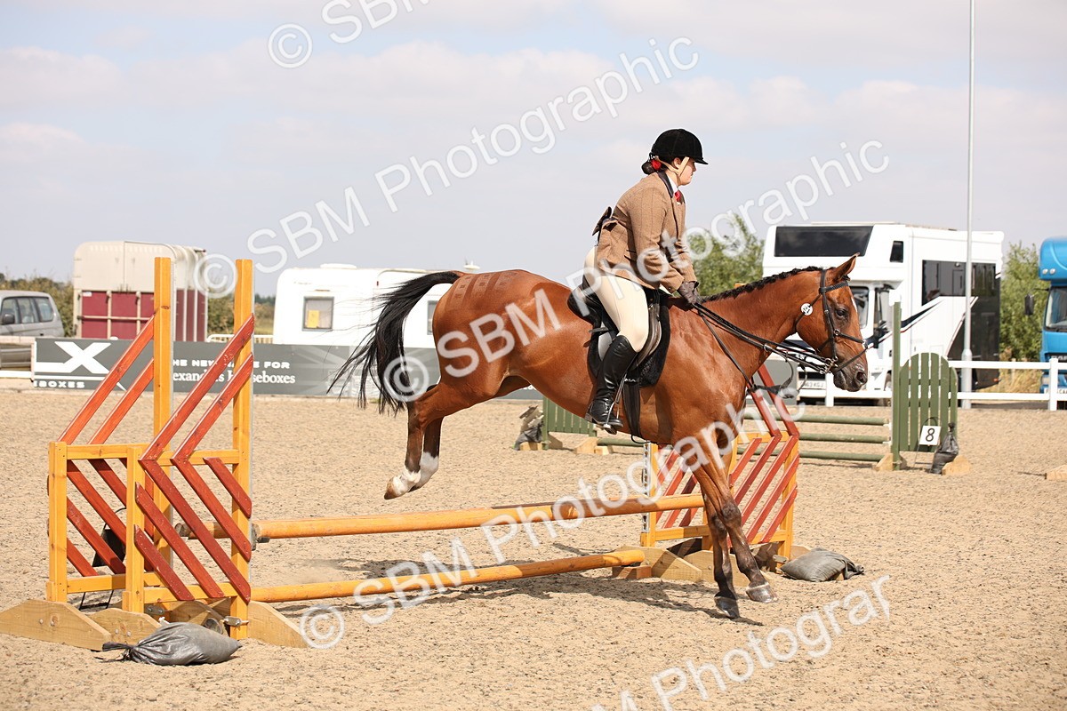 SBM_14273 - Class 407b - Working Veteran 60cm (20+)