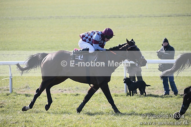 PtP 240218 97 - Vine & Craven Hunt Point-to-Point Barbury racecourse 24/02/18