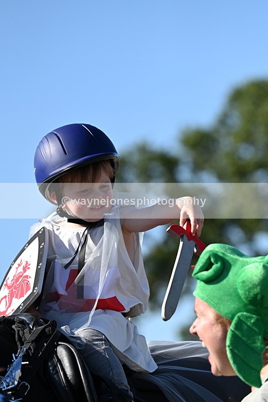 WJ7_2700 - Class 45 Fancy Dress (My Fav)