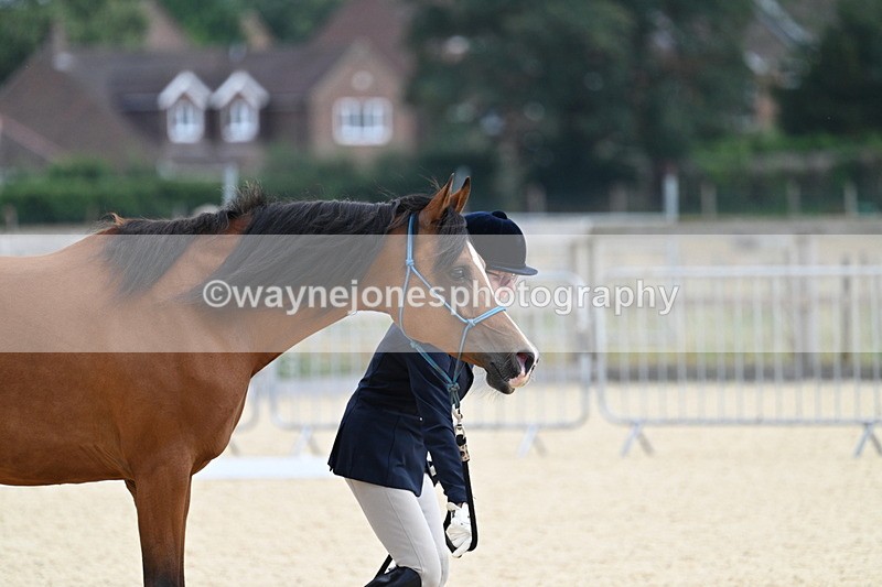 WJ7_1836 - In Hand
