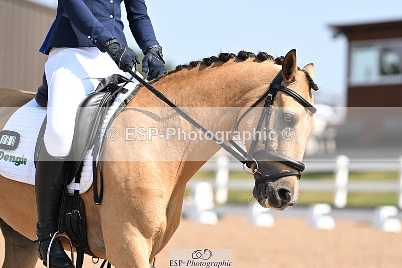 250816-120357-04415 - 060-Felicity.HendySheepcote.Champion.Star