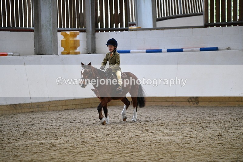 WJ5_6998 - Class 10 Childs Pony