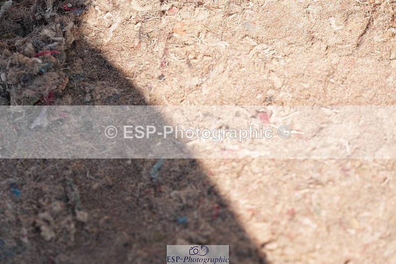 250510-095556-10177 - Cls 14 Snr 1.20m Open