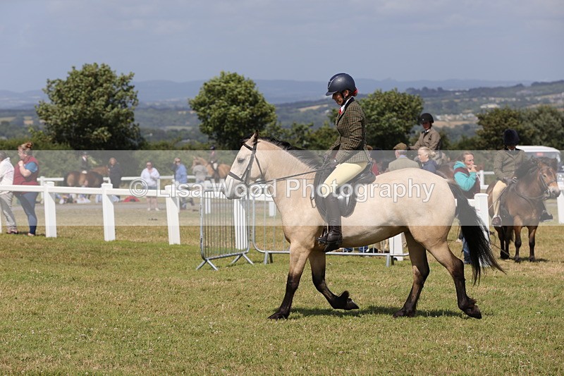 1X9A5558 - Class 38: NPS Novice Ridden Small and Large Breeds
