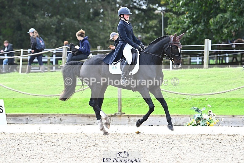 231019-143933-04246 - 054-PORSCHE-Coco.Lanni-DR