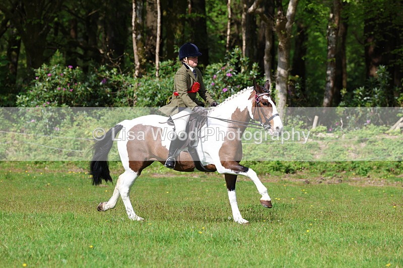 3E7A2658 - Working Hunter Championship