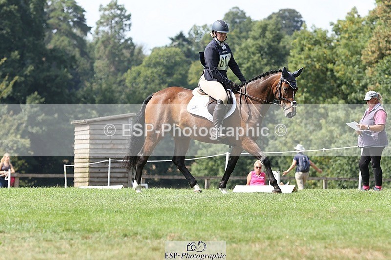 250823A-140209-31434 - Arena D