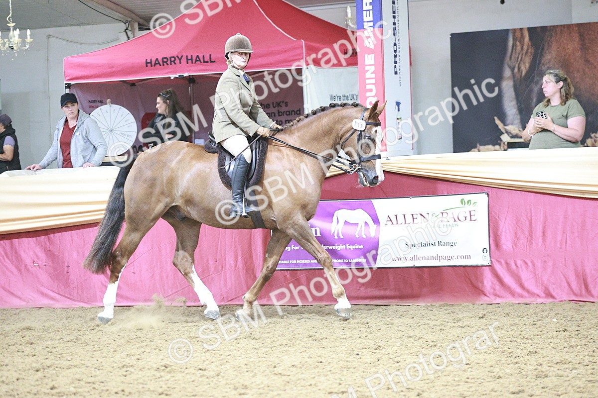 SBM_08817 - Class 12R - Regional Ridden Pre-Vet