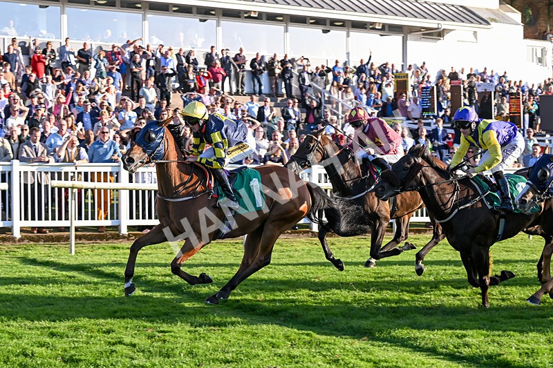 160824-Race 5-Ready Freddie Go-9590 - Race 5