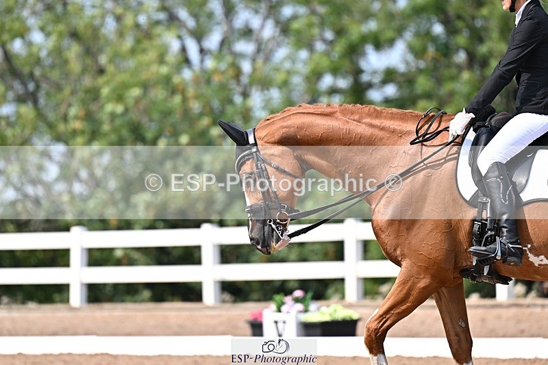 250816-134927-05215 - 150-Laima.DaviesRomero