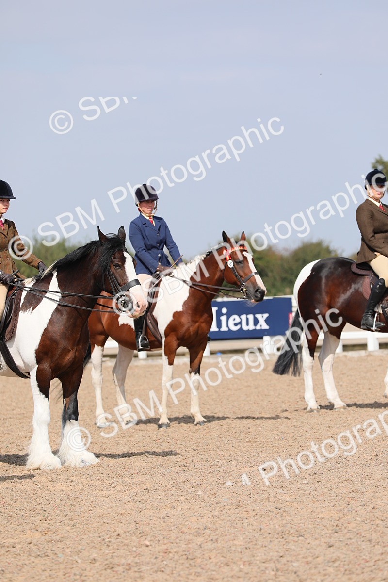 SBM_13503 - Class 308 Ridden Coloured Horse