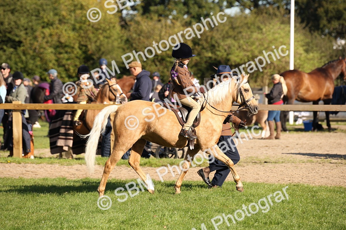 SBM_35747 - S9 - Lead Rein Equitation