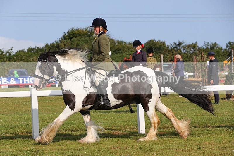 1X9A3296 - Class 28: Ridden Native/Trad Coloured Pony