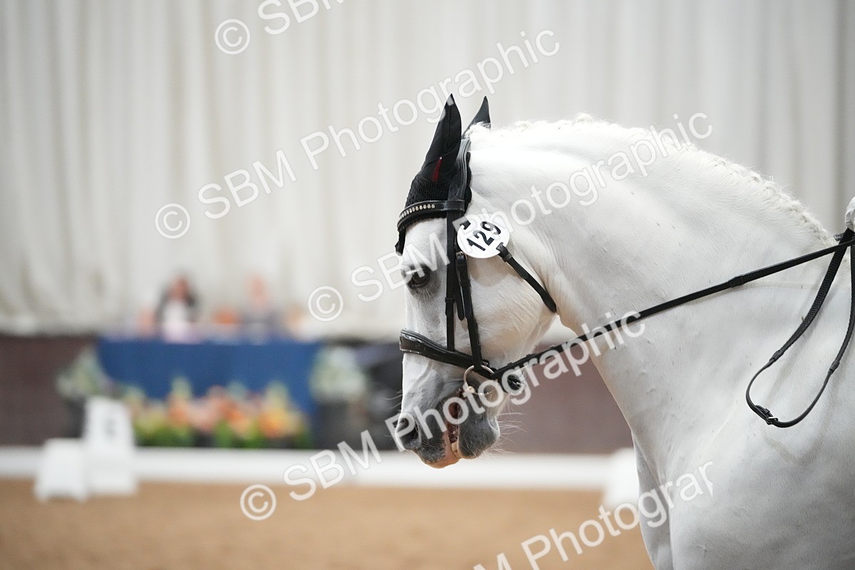 SBM_004720 - Class 11 - Elementary 2 Champs