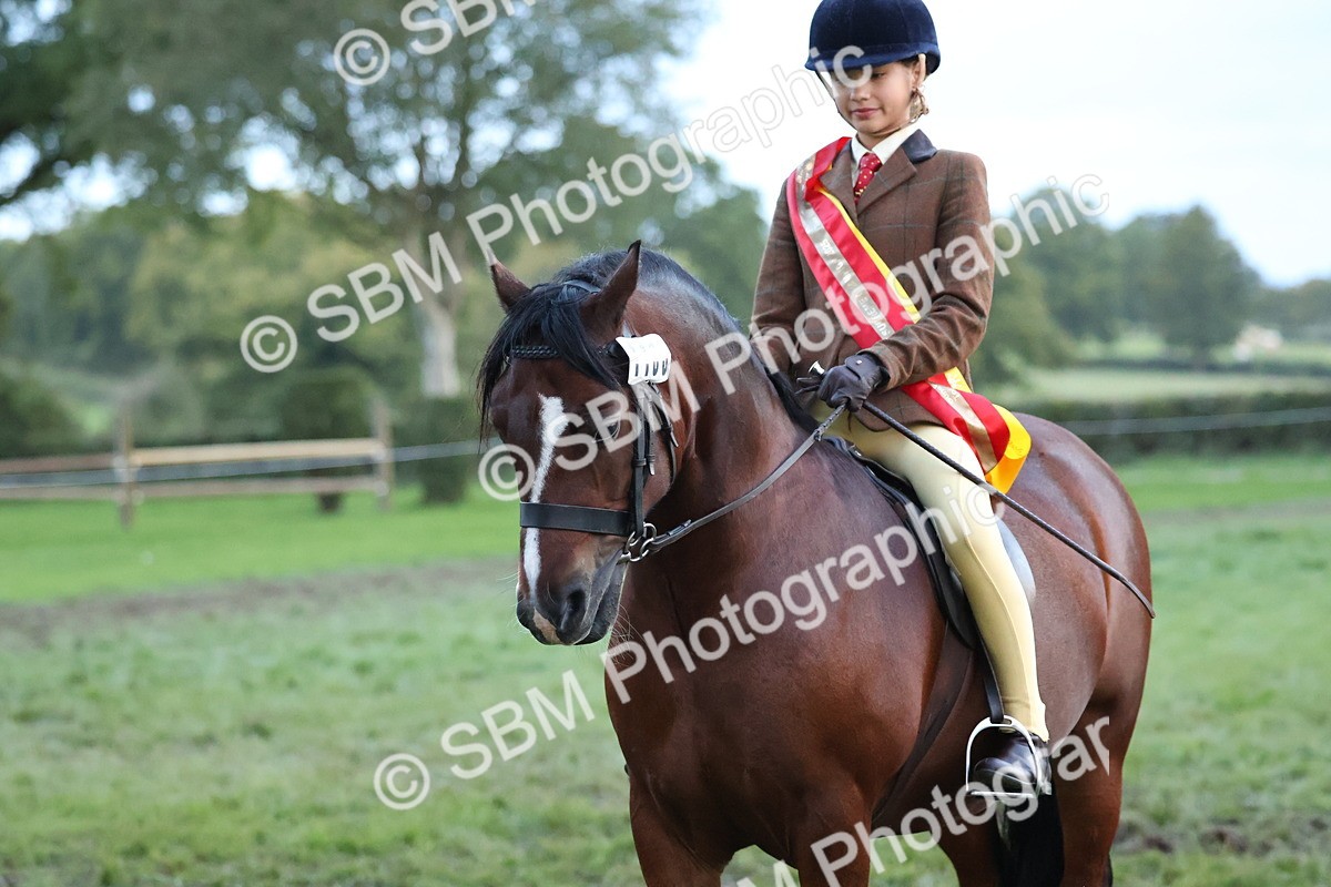 SBM_53448 - Super Supreme Championship (Sat)