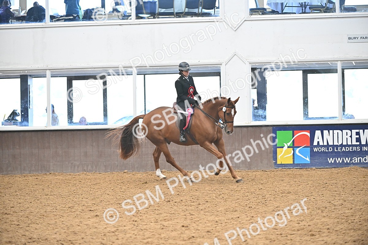 SBM_002733 - Ridden Showing Supreme Championships