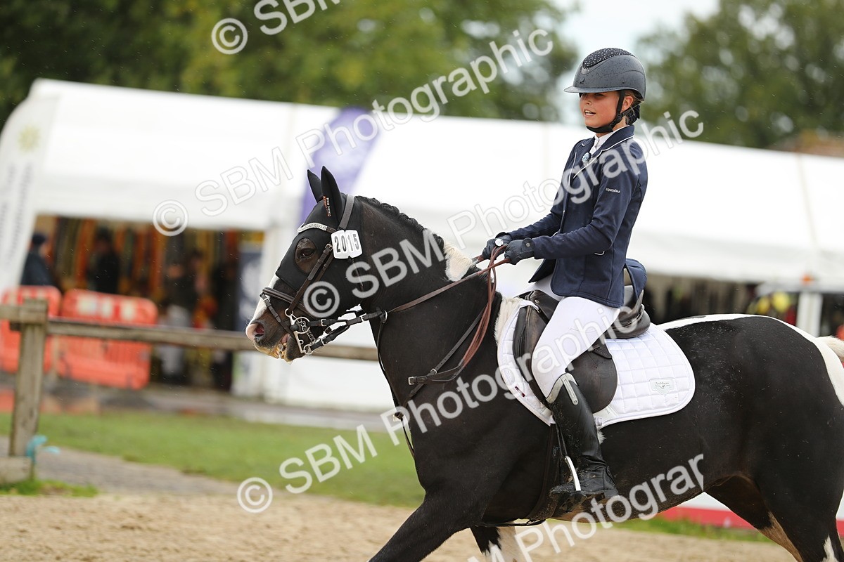 SBM_40410 - J21 - Junior Horse 60cm Championship