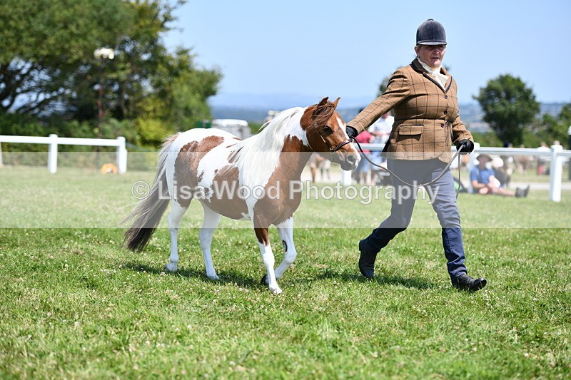DSC_7702 - Class 64: Coloured Pony 4yrs & over