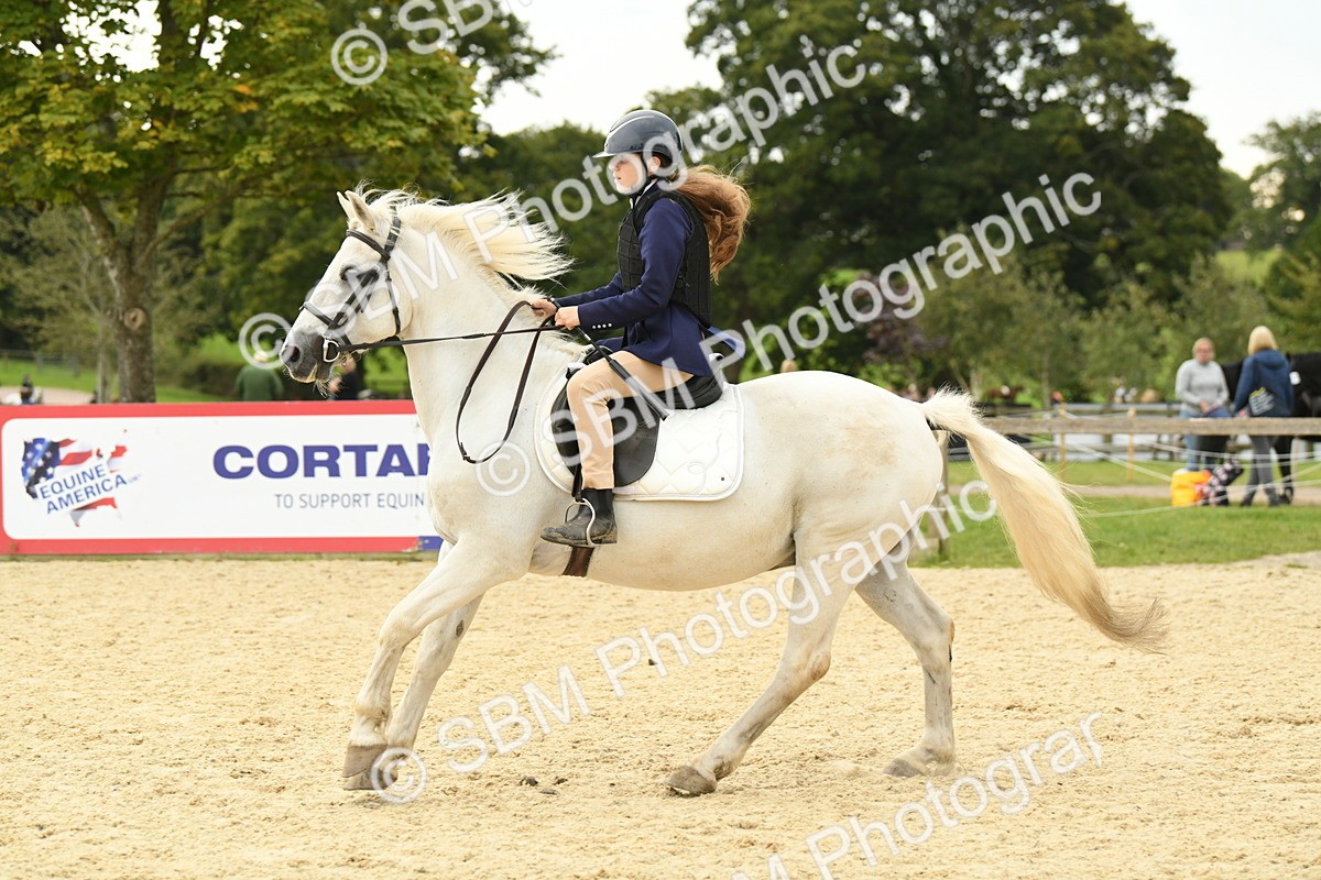SBM_73165 - J16 - Junior Pony 75cm Championship