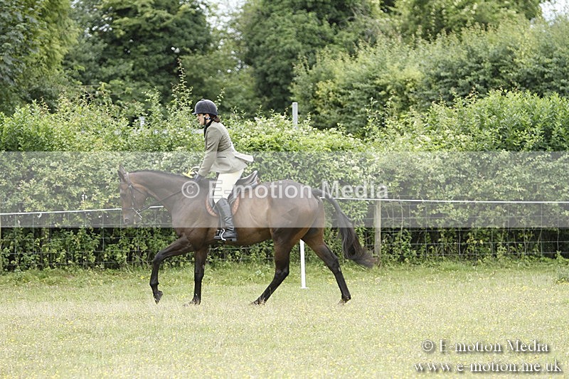 BVR160717-995 - Ring 3 BVRC Show 16/07/17