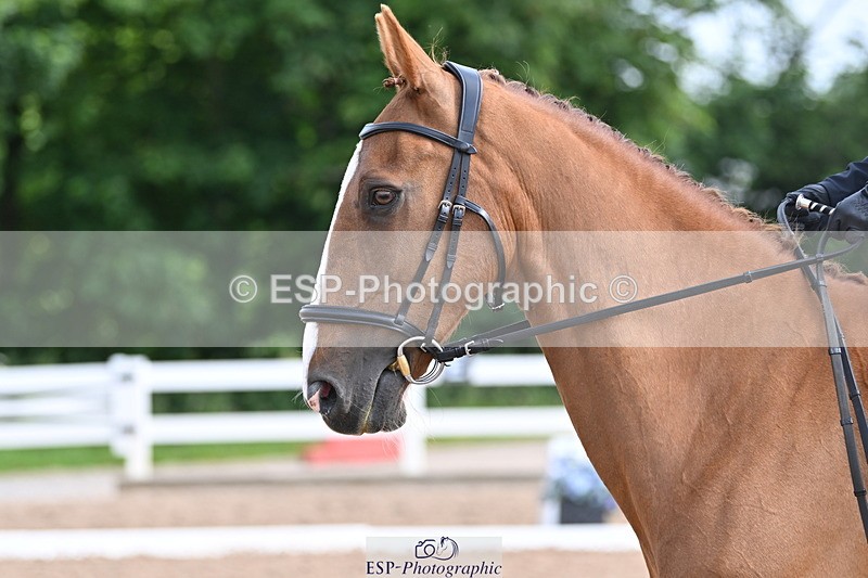 240623A-094424-16305 - Cls 45 BD Prelim 19