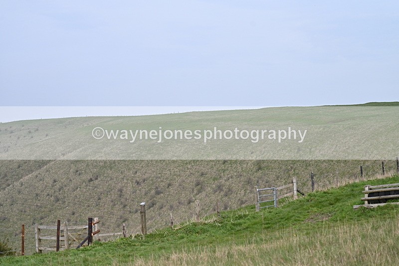 WJ7_8024 - Line 2 A camera