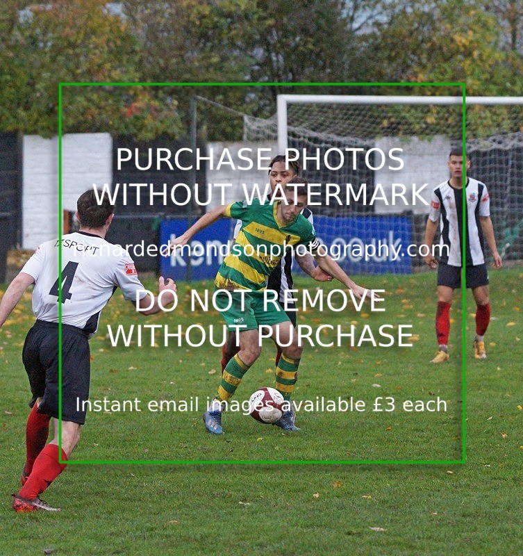 DSC02353 - Runcorn Linnets