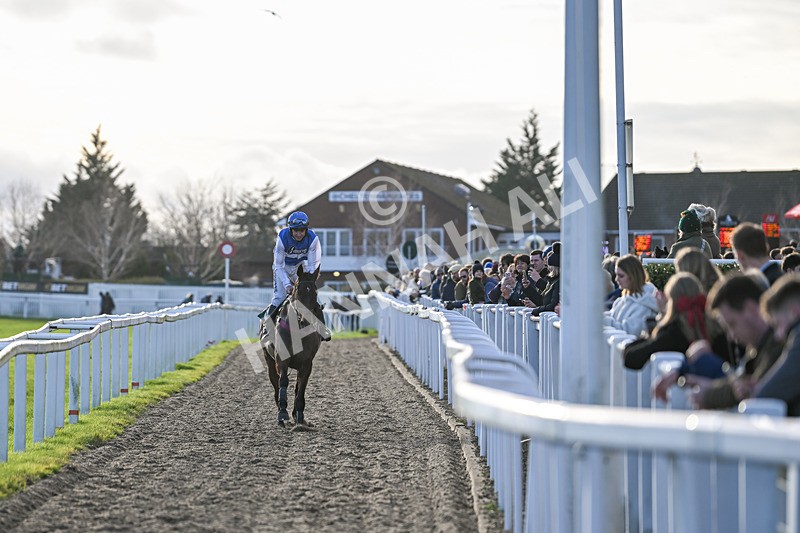 141224-Race 4-Gemirande-1886 - Race 4