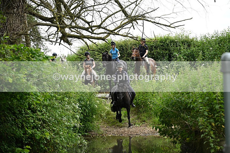 WJ7_1929 - Camera 2 Water Crossing