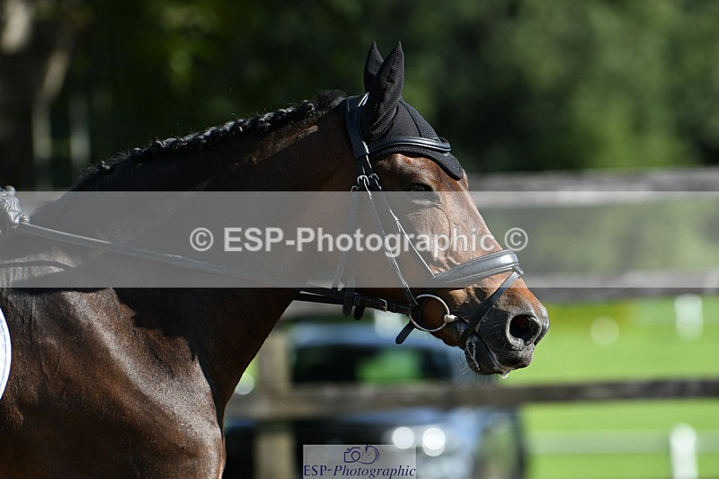 240825X-092716-30775 - 70cm SJ 9.15 to 10.21